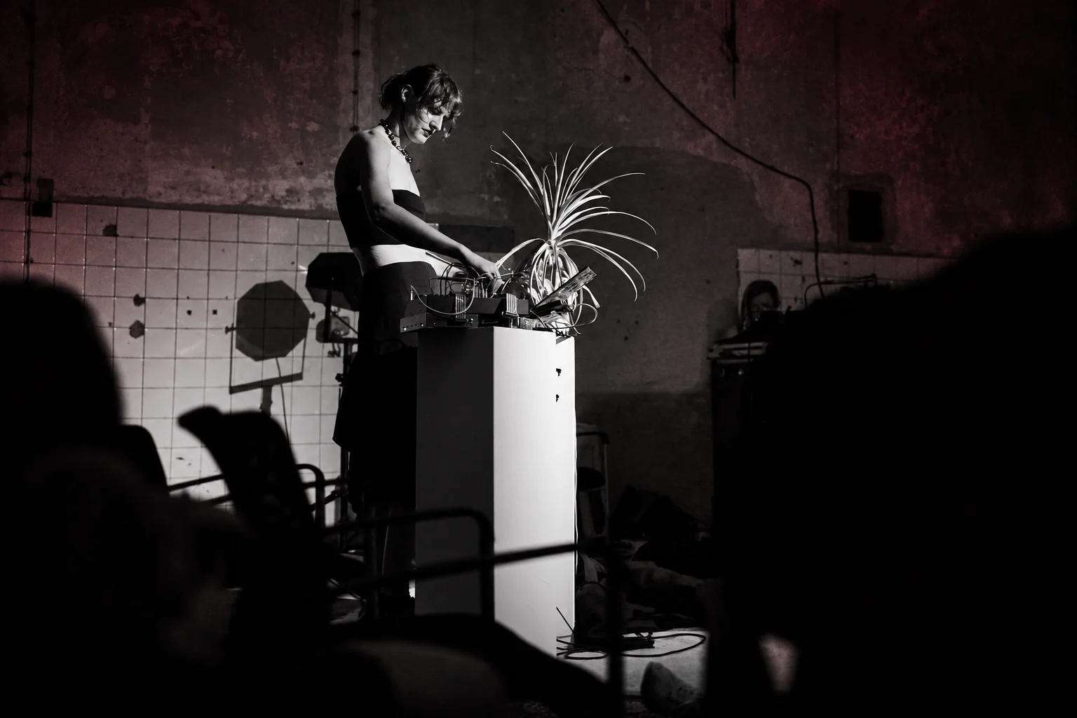 Nova Lux at Moozak, Semmelweisklinik — photograph Markus Gradwohl